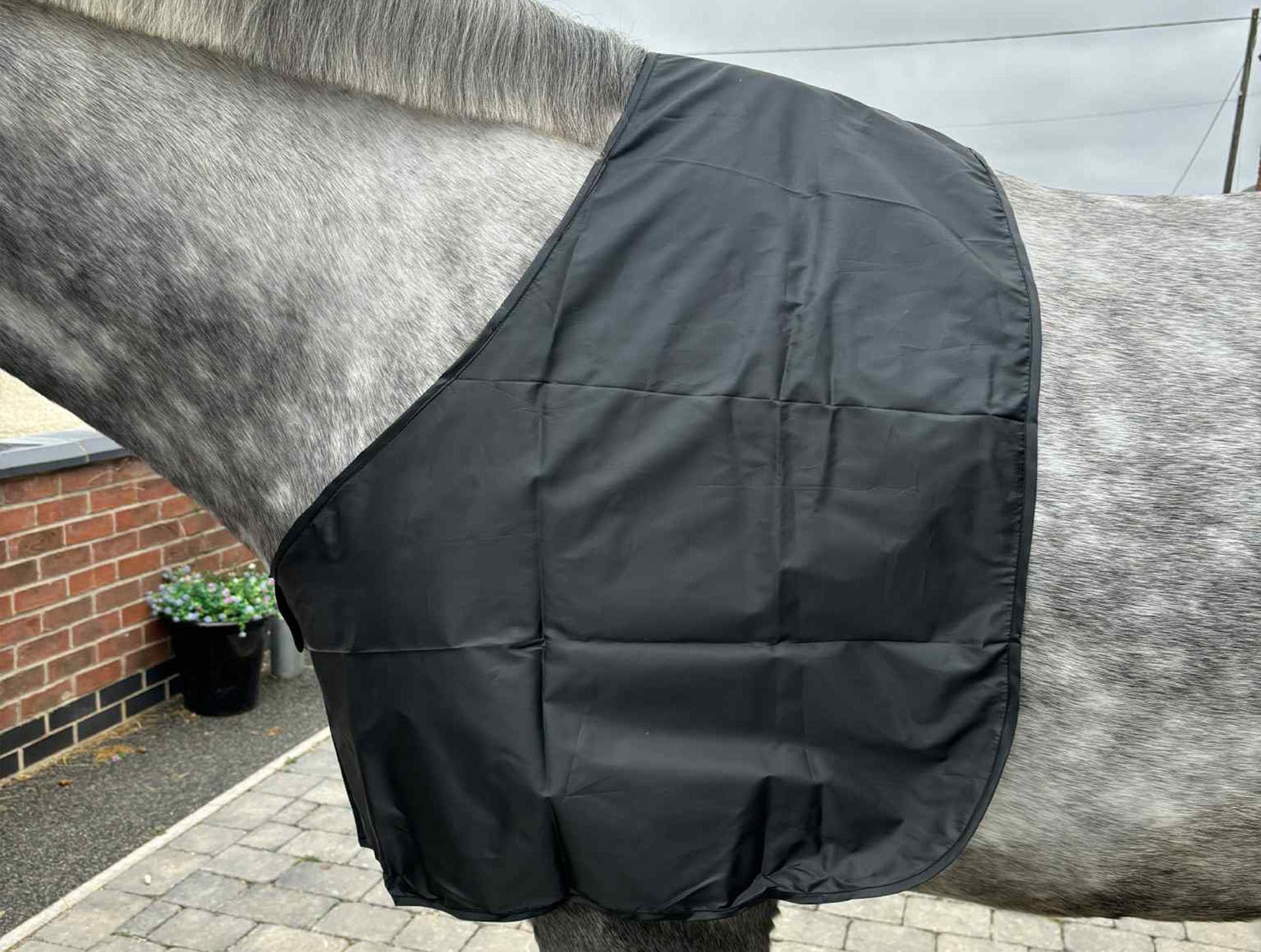 Ruggles Satin Anti Rub Bib for horses and ponies - Shoulder Guard (Black, Full)