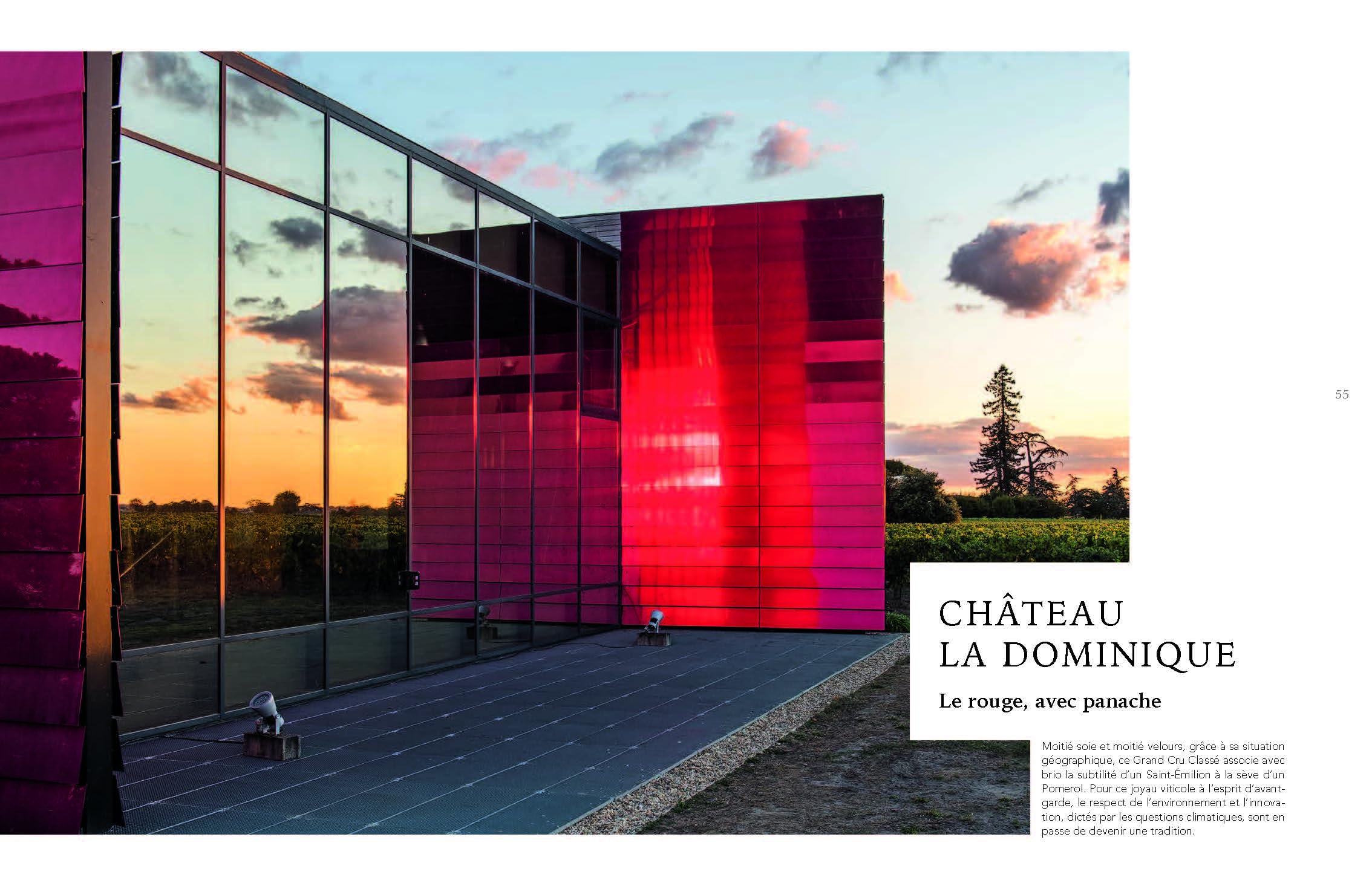 Vignoble de Saint-Emilion: Un terroir de l'humanité