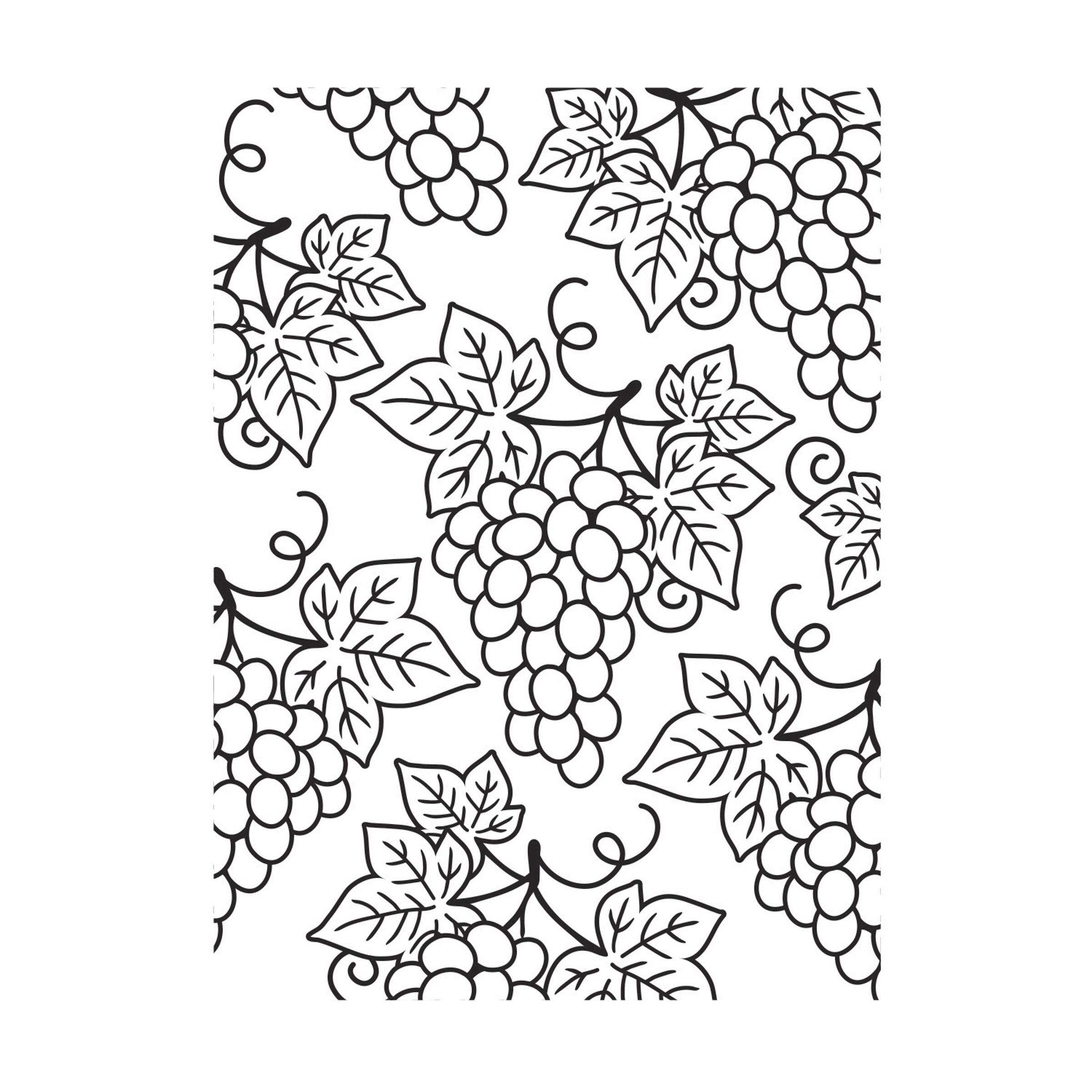 Darice Embossing Folder Grape Clusters