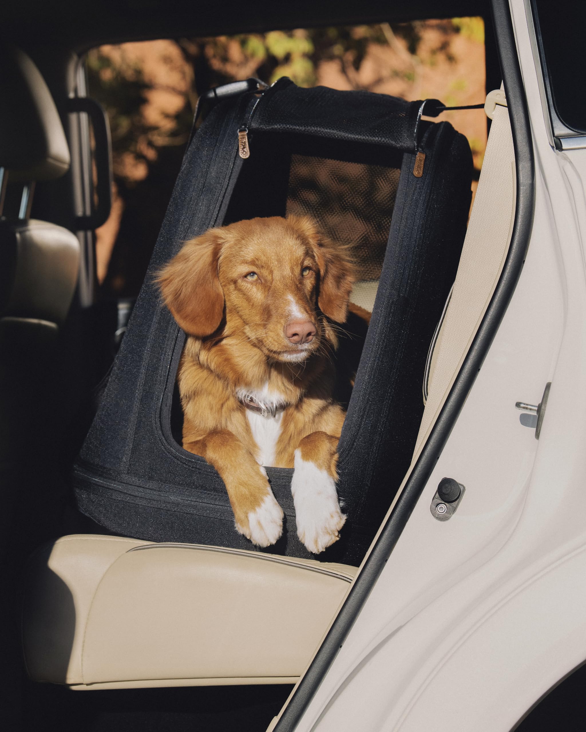 Tavo Crispin - Transportín grande para mascotas – Caja de transporte para perros y gatos, ISOFIX y fijación Top-Tether, ventilación de malla de 360°, plegable, 2 colchones lavables, ónix