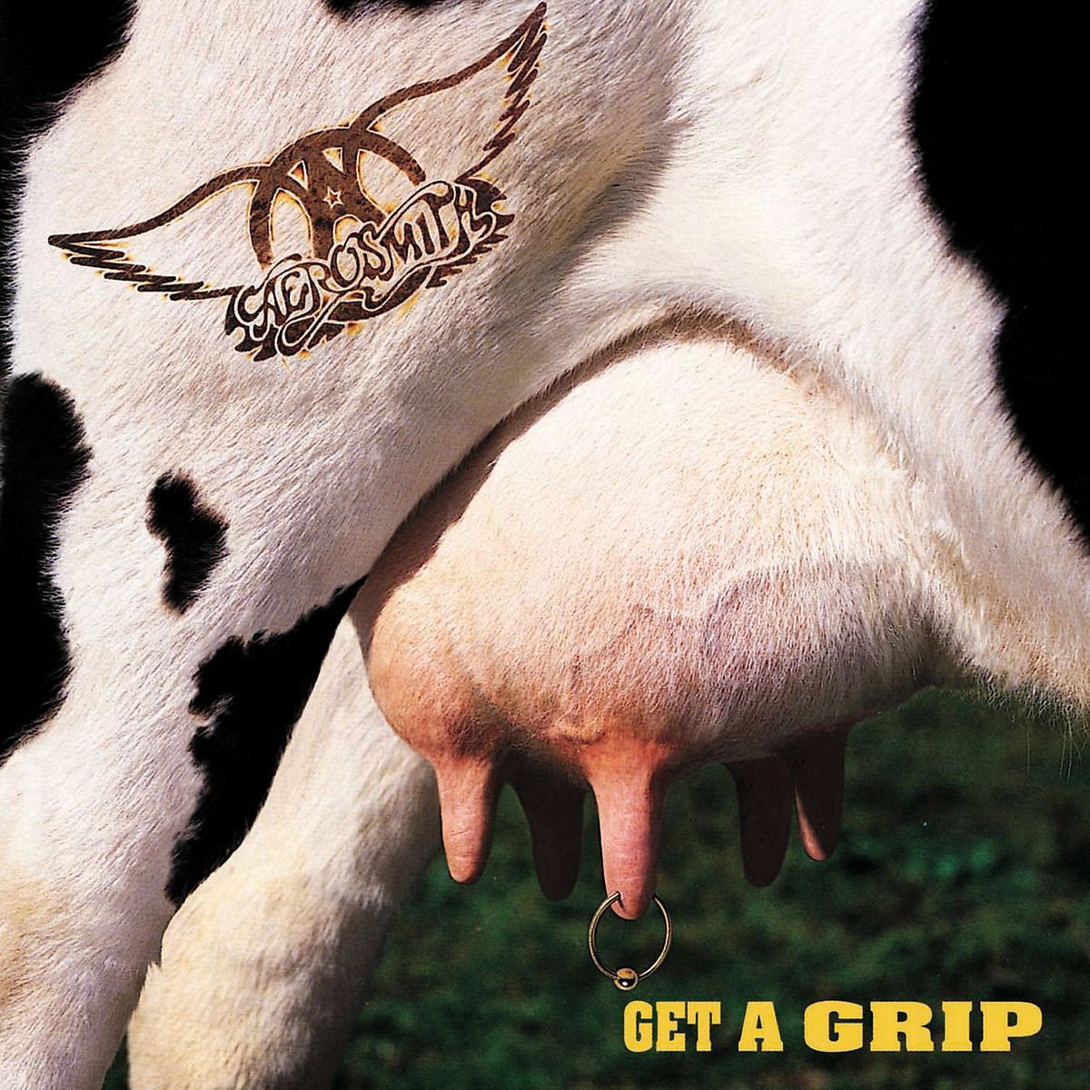 【EUオリジナル】新品未開封 AEROSMITH GET A GRIPレコード 81oThTXX3OL.jpg
