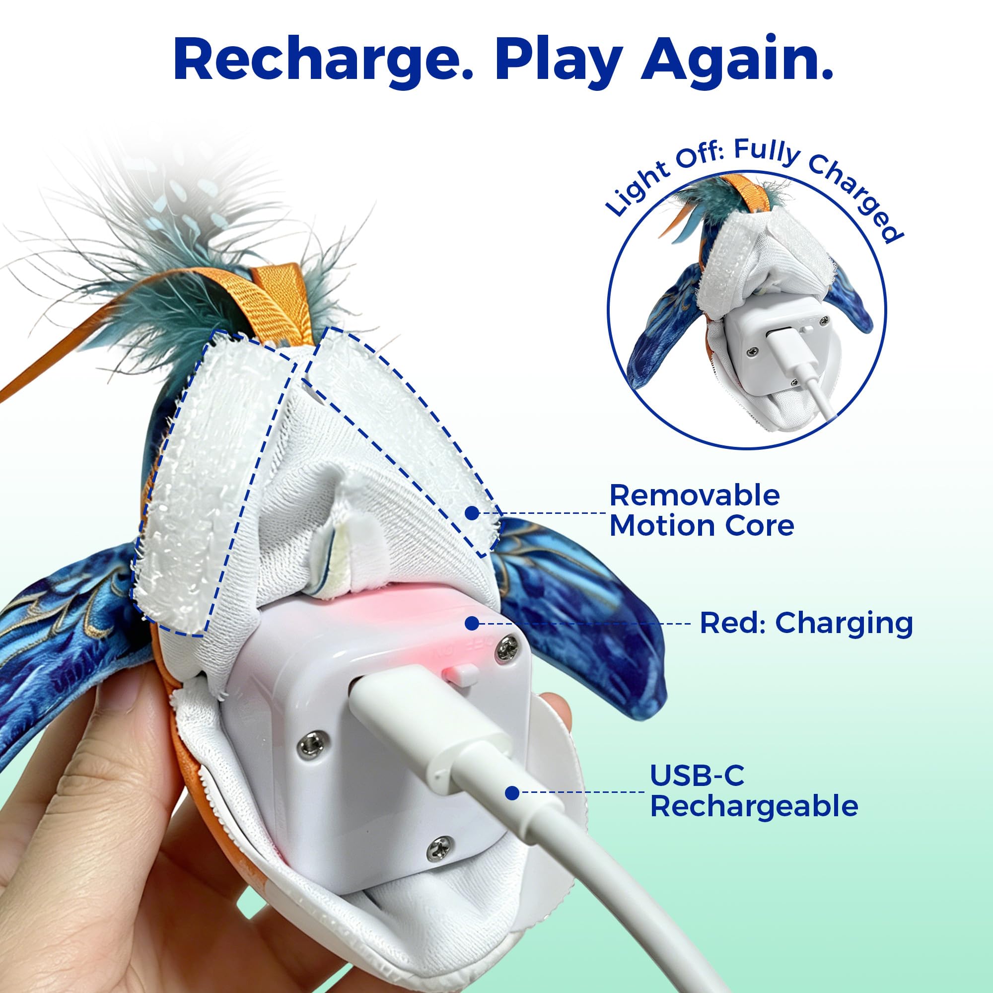 Jouet interactif pour chat d'intérieur – Jouet pour chat d'intérieur – Jouet pour chat – Activé par le toucher – Jouet rechargeable pour toutes les races – Avec 5 housses d'oiseaux et