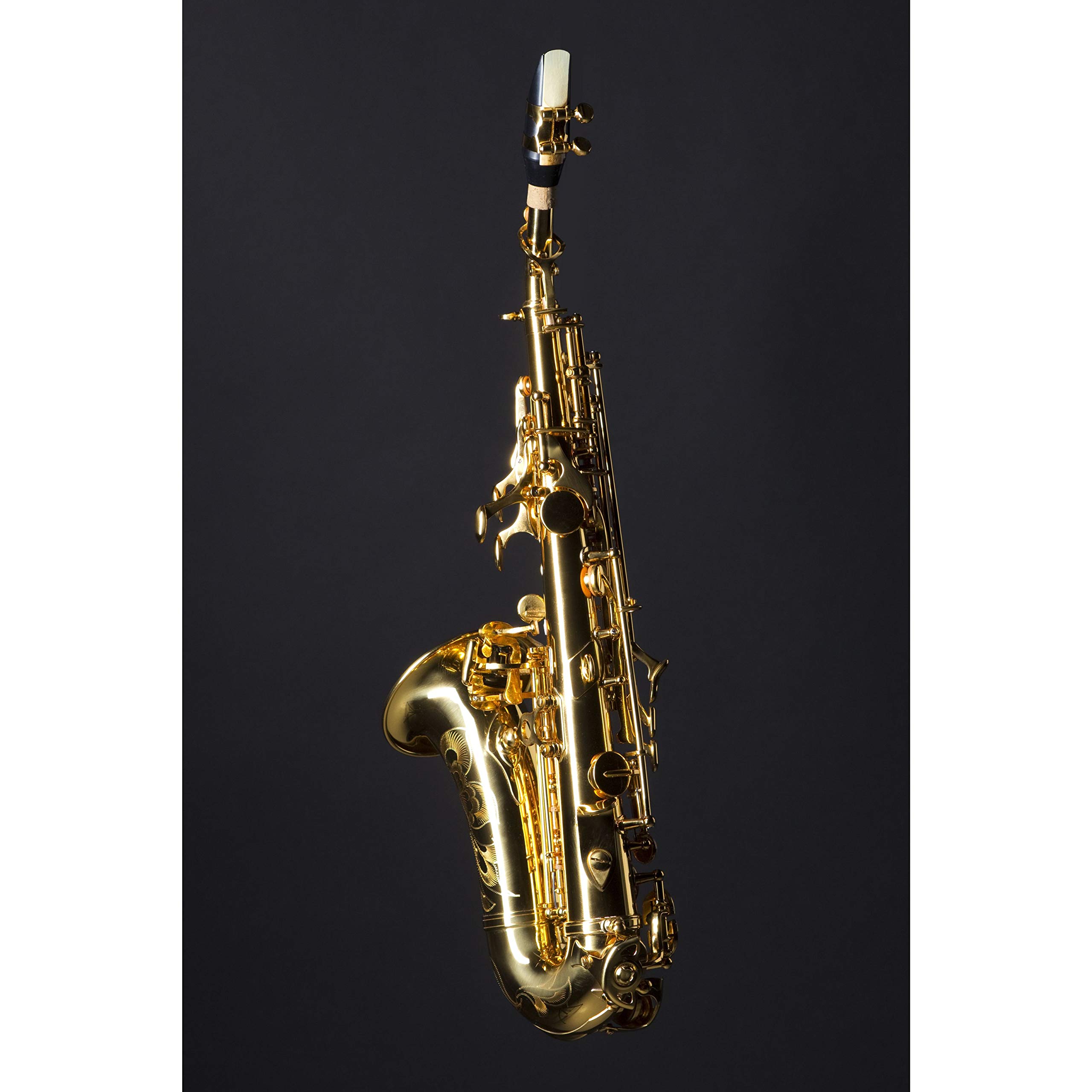 Monzani MZSC-233 Sopransaxophon, Bb Stimmung, Messing Mechanik, Goldlack Finish, Inklusive Mundstück und Hardcase, Ergonomische Mechanik, Ausgewogener Klang, Italienische Polster und Federn, 1.44kg