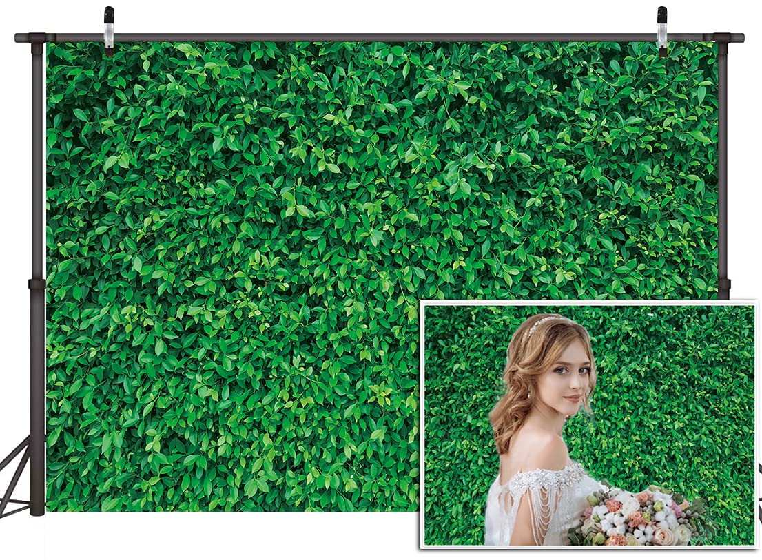 Buy Dudaacvt 7x5FT Green Leaves Photography Backdrops Nature Leaf