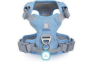 Pawaii Dog Harness for Dachshunds: Ultimate Comfort and Control for Your Long-Backed Friends