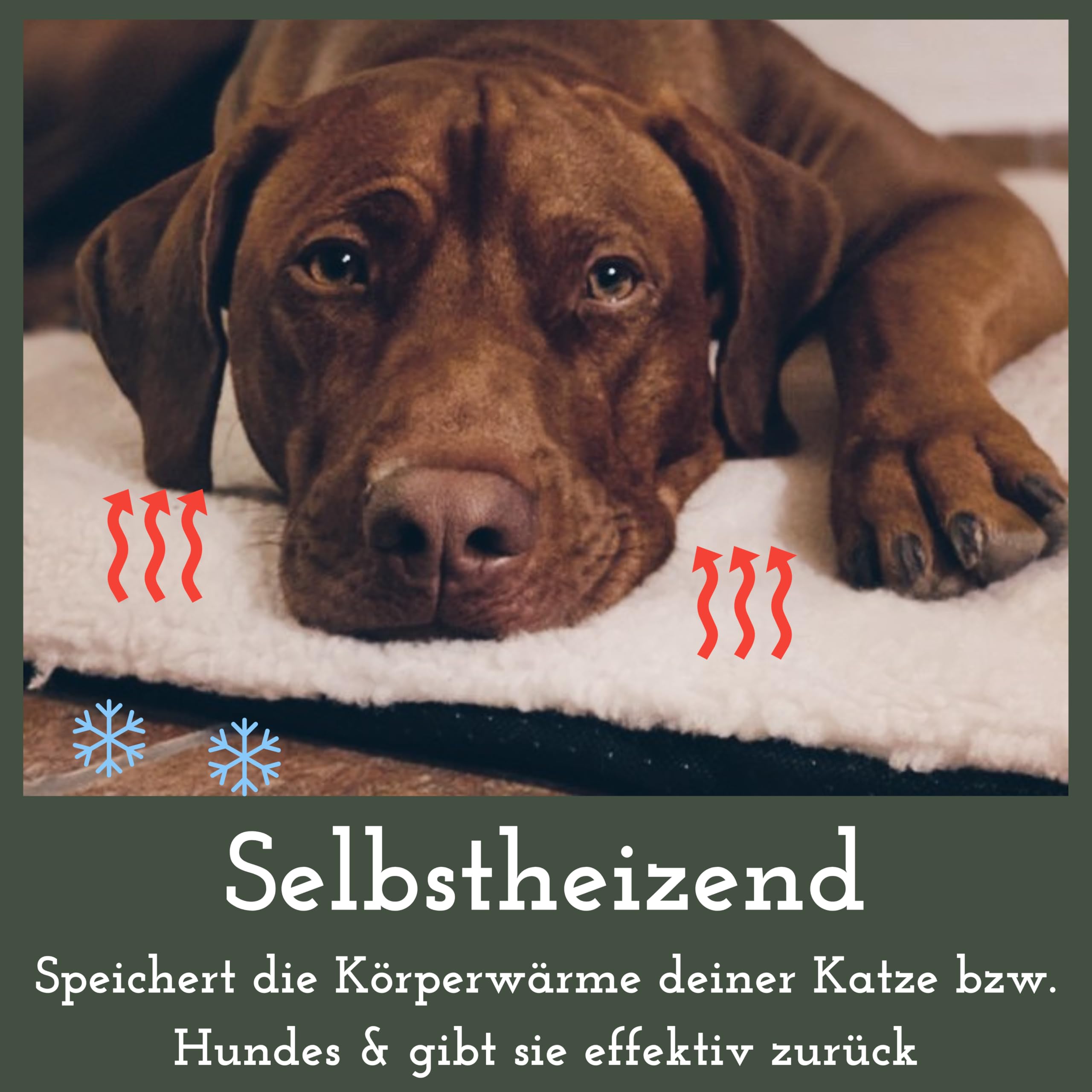 Fellou Heizdecke Katze 60 x 40 cm - Selbstheizende Decke Katze - Waschbar, Knisterfrei & rutschfest - Wärmedecke Hund - Heizmatte Haustier - Kuschelig weiche Wärmematte ohne Strom in beige