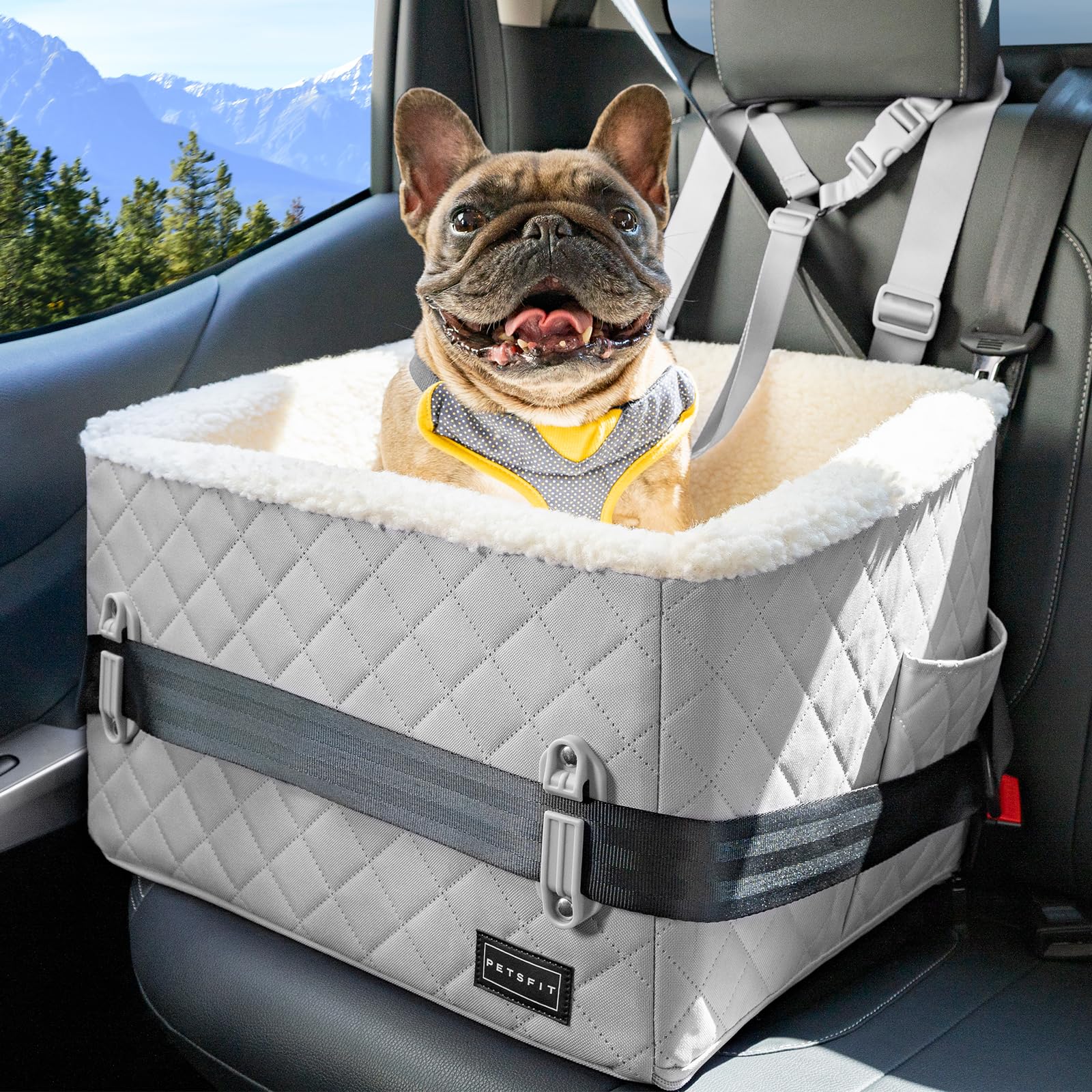 PETSFIT Small Dog Car Seat, Soft Foam Dog Booster Car Seat with Patented Safety Buckles, Storage Pockets and Detachable Clip-On Safety Leash, Dog Car