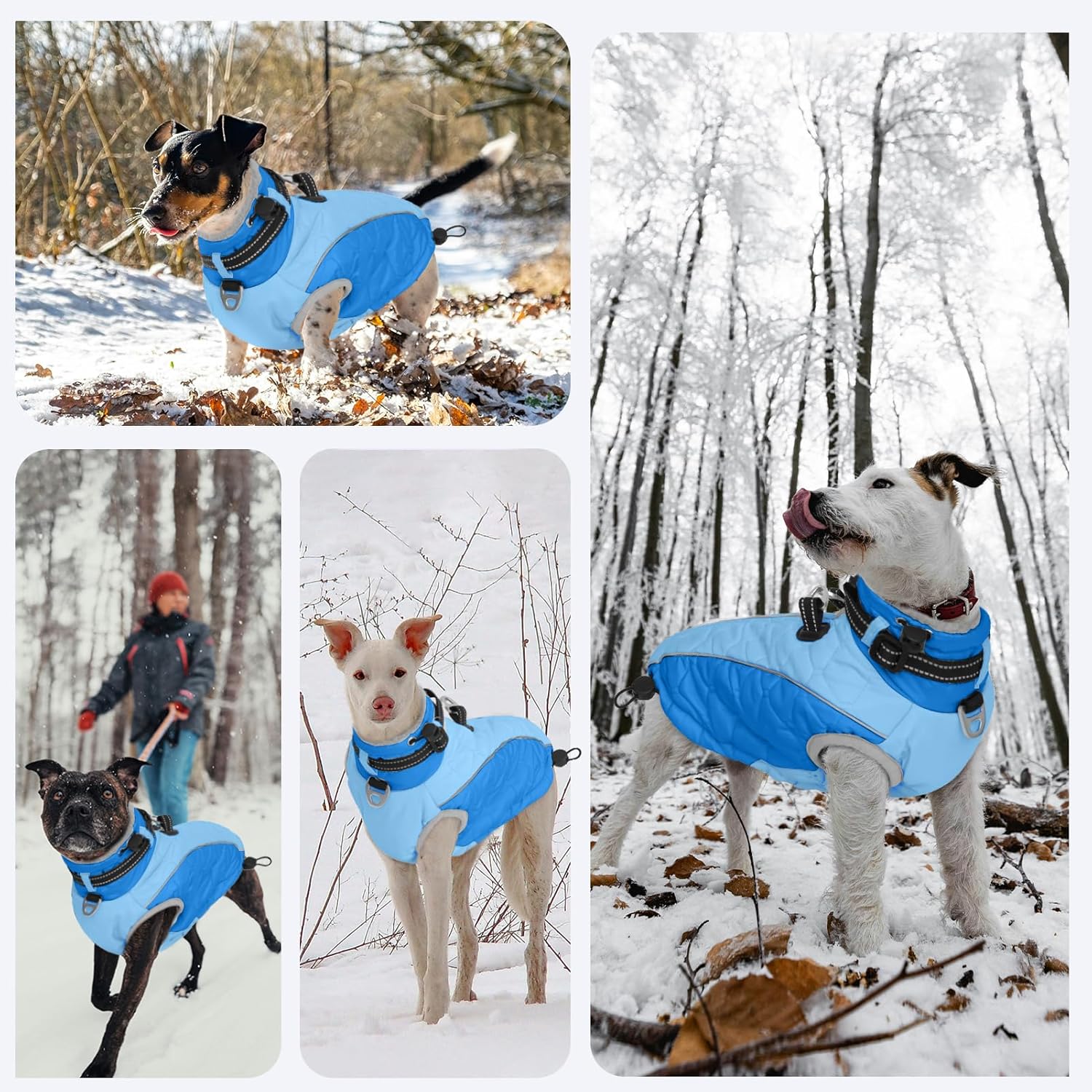 Winter Zippered Quilted Dog Jacket, Small Dog Winter Coat, Turtleneck Reflective Fleece Jacket, Water Resistant Warm Clothes with Buckles & D Ring for Leash and ID Tags- S Blue