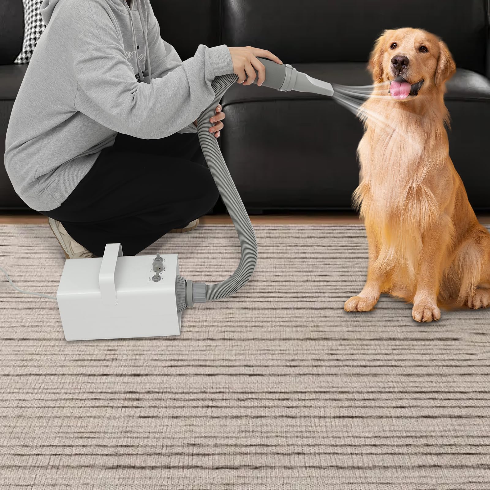 2800W Séchoir pour Animaux avec 4* Buses, 57dB Sèche-cheveux pour Chien, Vitesse et Température Du Vent Réglables, pour Petits, Moyens et Grands Chiens et Chats