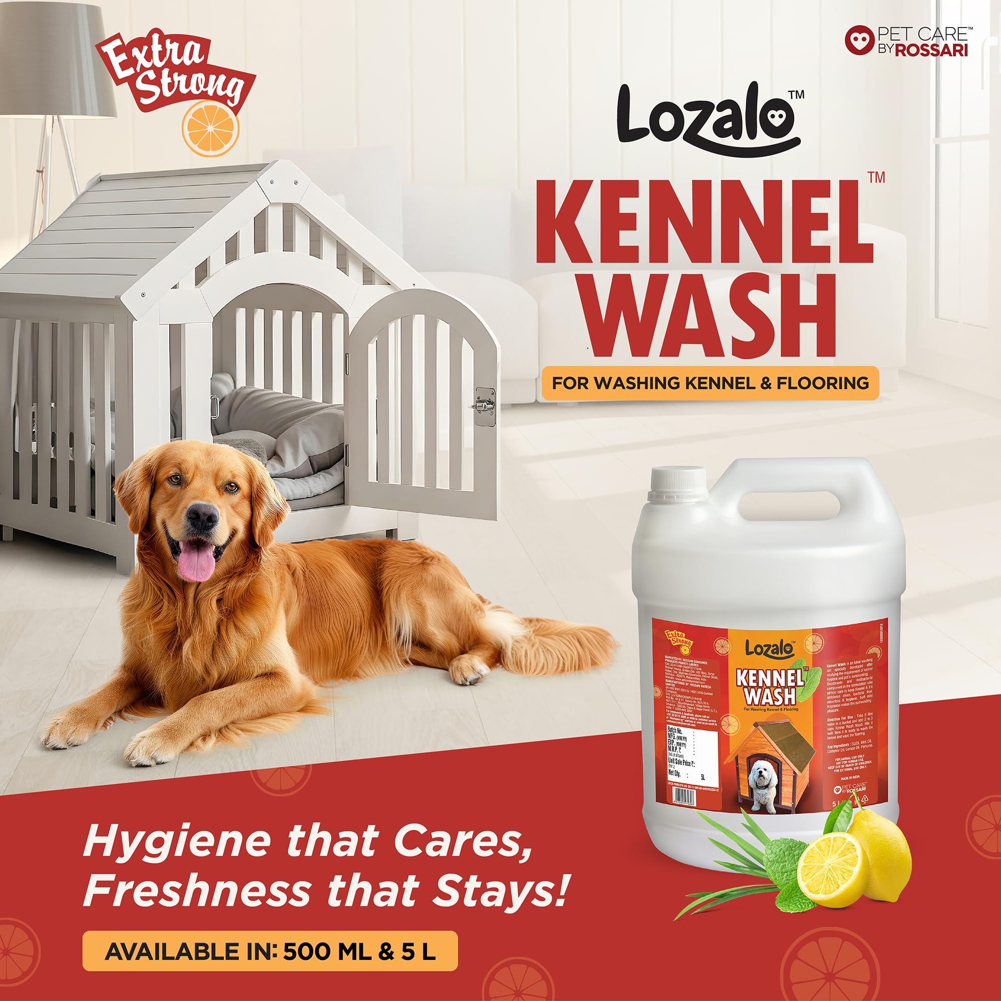 Lozalo Kennel Wash Liquid 5 Litre for Washing Dog Kennel & Flooring, Pet Shops, Veterinary Clinics & Grooming Salons (Red)