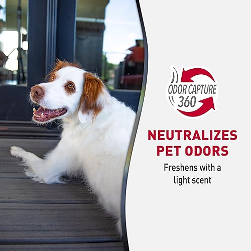 Miniatura 7 de Nature's Miracle Nature's Miracle Advanced Toallitas eliminadoras de manchas y olores para superficies duras, 30 unidades, fórmula enzimática que