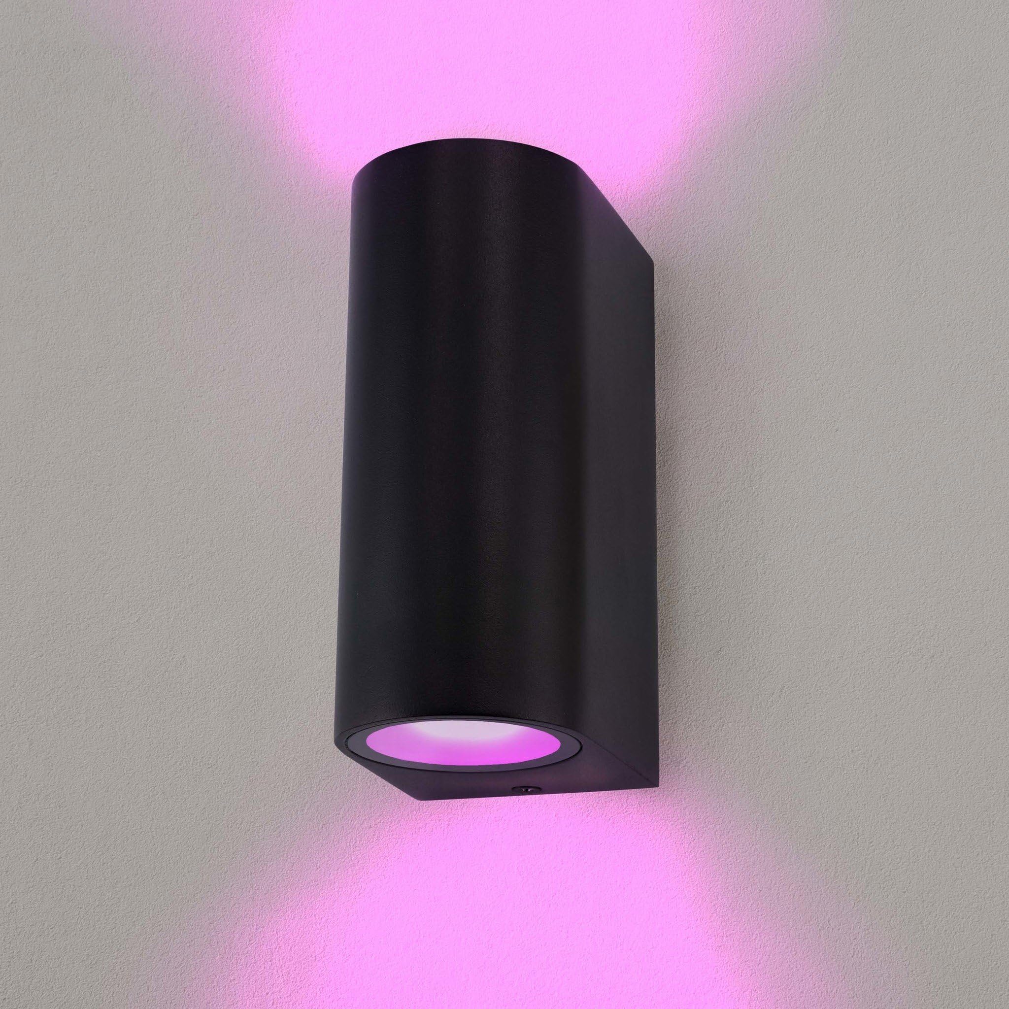 Ledvion Black - Smart Led Wall Light Santa Barbara, Rgbww, Ip54, Indoor/Outdoor, Outdoor Lamp, Garden Lighting