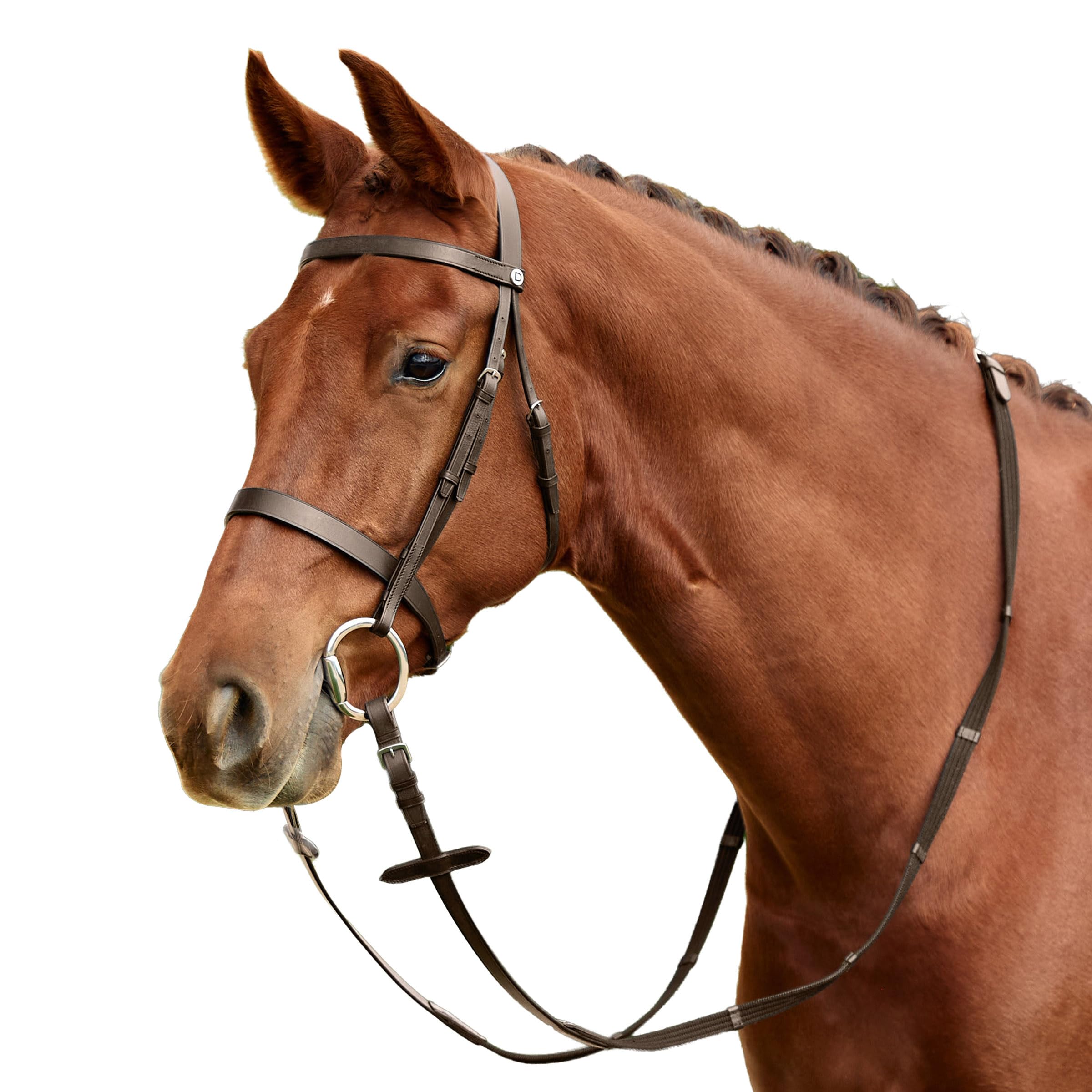 Dublin Flat Cavesson Bridle, Brown, Pony