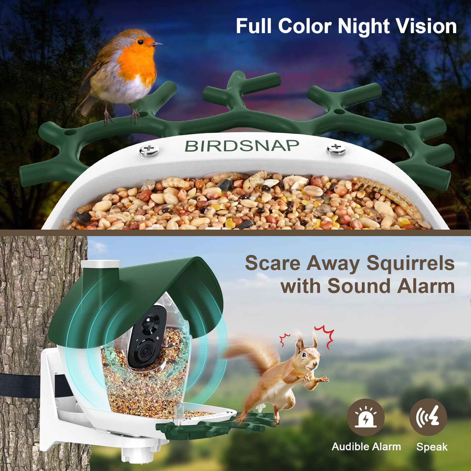 birdsnap® P33 - Comedero para pájaros con cámara alimentada por energía solar, cámara de video desmontable 2K con tarjeta de 32 GB, identificación de especies de plumas, grabación automática en el