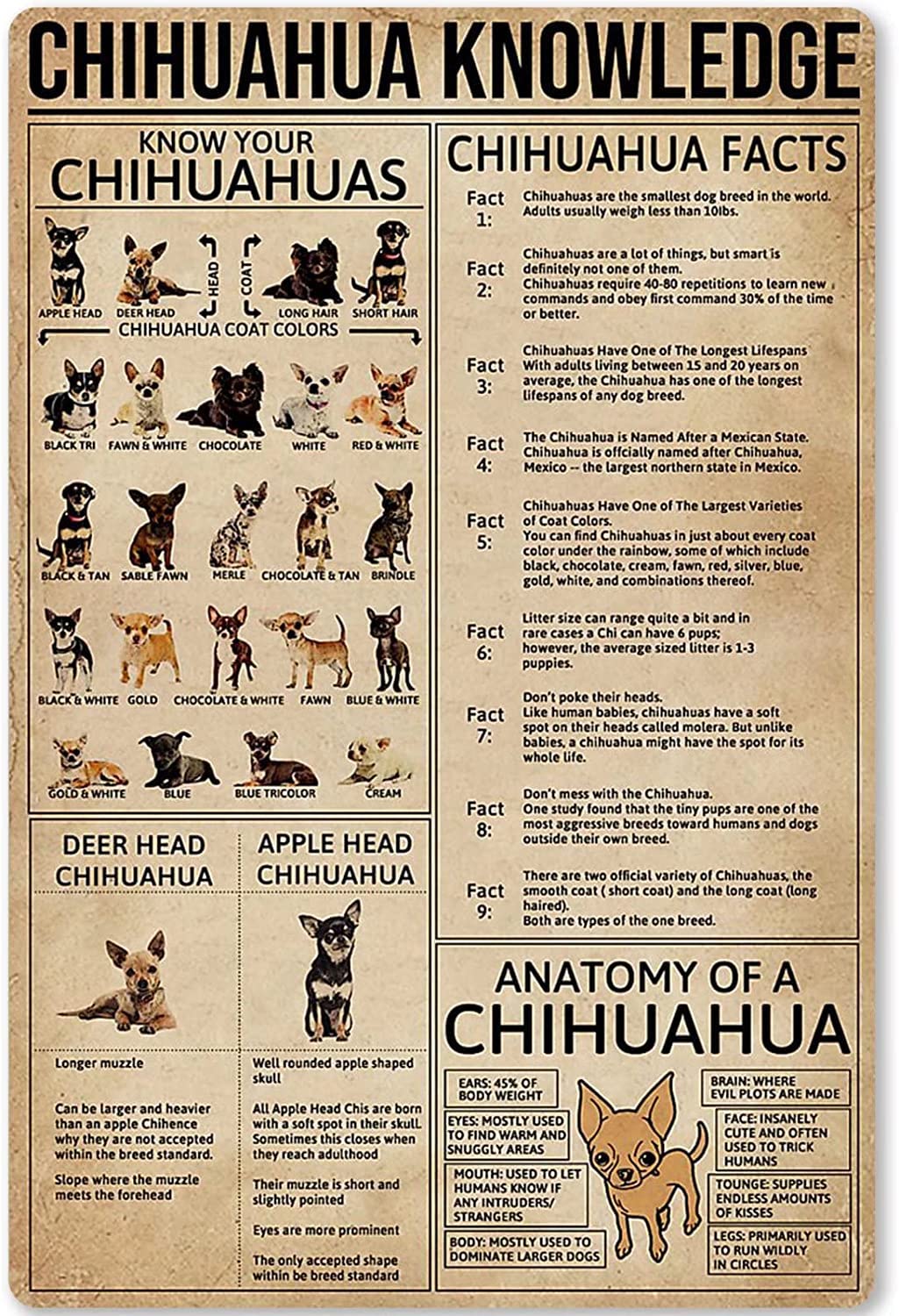 peiyeety Chihuahua Knowledge Metal Tin Signs Retro Chihuahua Infographics Posters Kennels Pet Shops Club Room Home Wall Decor Plaques 8" x 12"