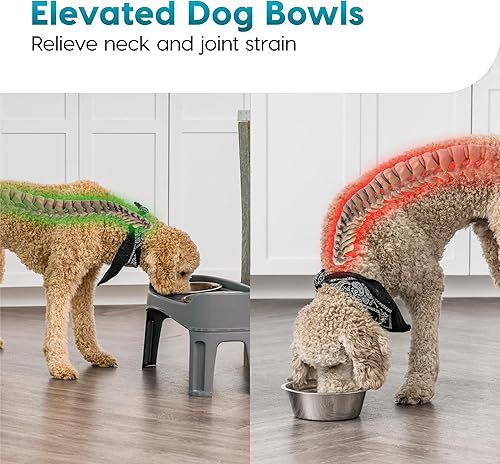 Miniatura 7 de IRIS USA Adjustable Elevated Dog Bowls, Raised Feeder with 2 Stainless Steel 64 oz Bowls, Spill-Guard Rim, 12.25" or 4.63" Heights, Durable Plastic