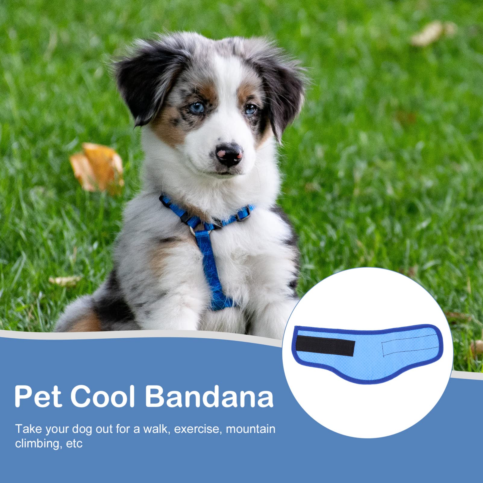 Beavorty 4stücke Pet Kühlbandana Für Hunde Atmungsaktives Kühlhalsband Leichtes Und Hautfreundliches Zubehör Für Und Im Sommer Mit Punkten