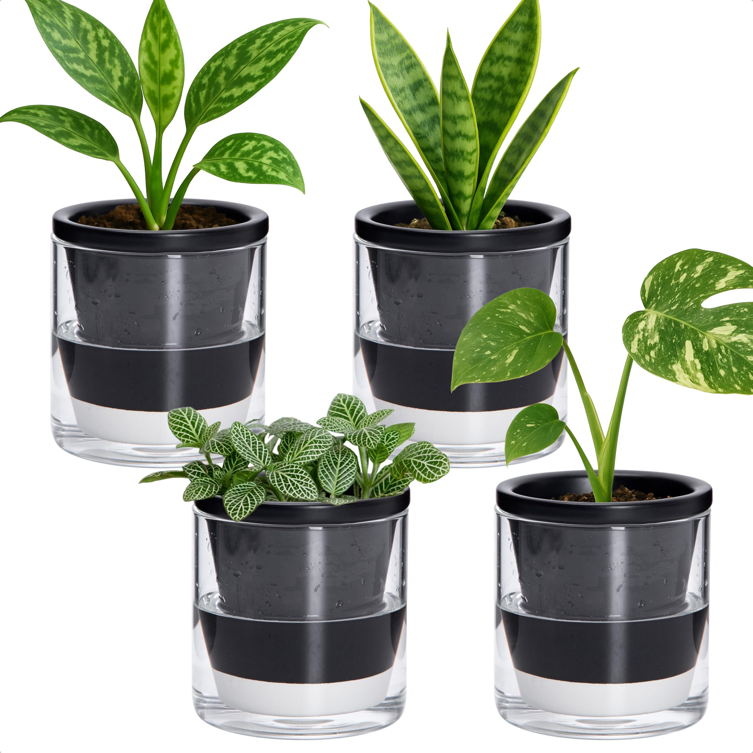 D'vine Dev Self Watering Planter Set