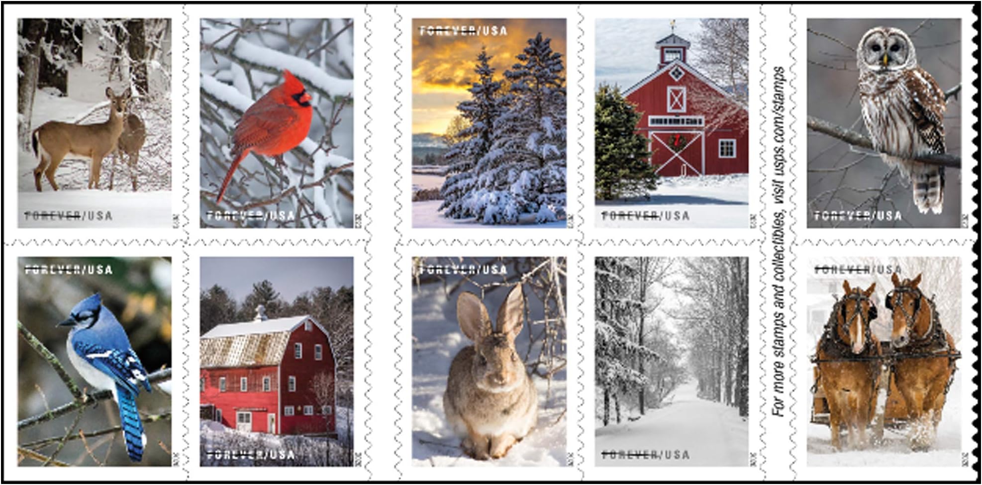 United States Postal Service USPS Winter Scenes Forever Postage Stamps Book of 20 First Class US Holiday Celebrations Wedding Celebration Anniversary Traditions (20 Stamps)