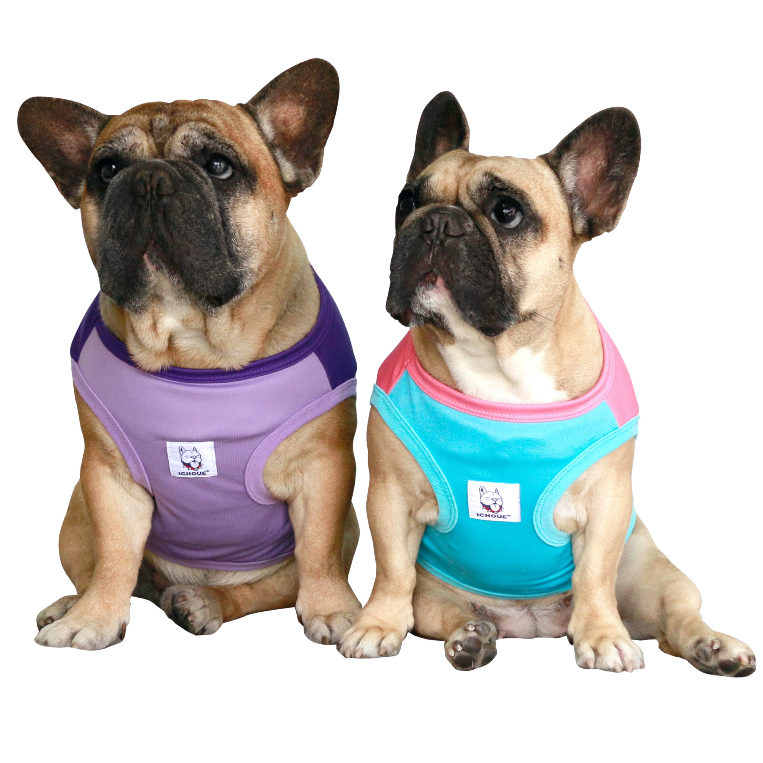 iChoue 2pcs Frenchie Summer Cooling Shirts Purple Turquoise Rose - Medium