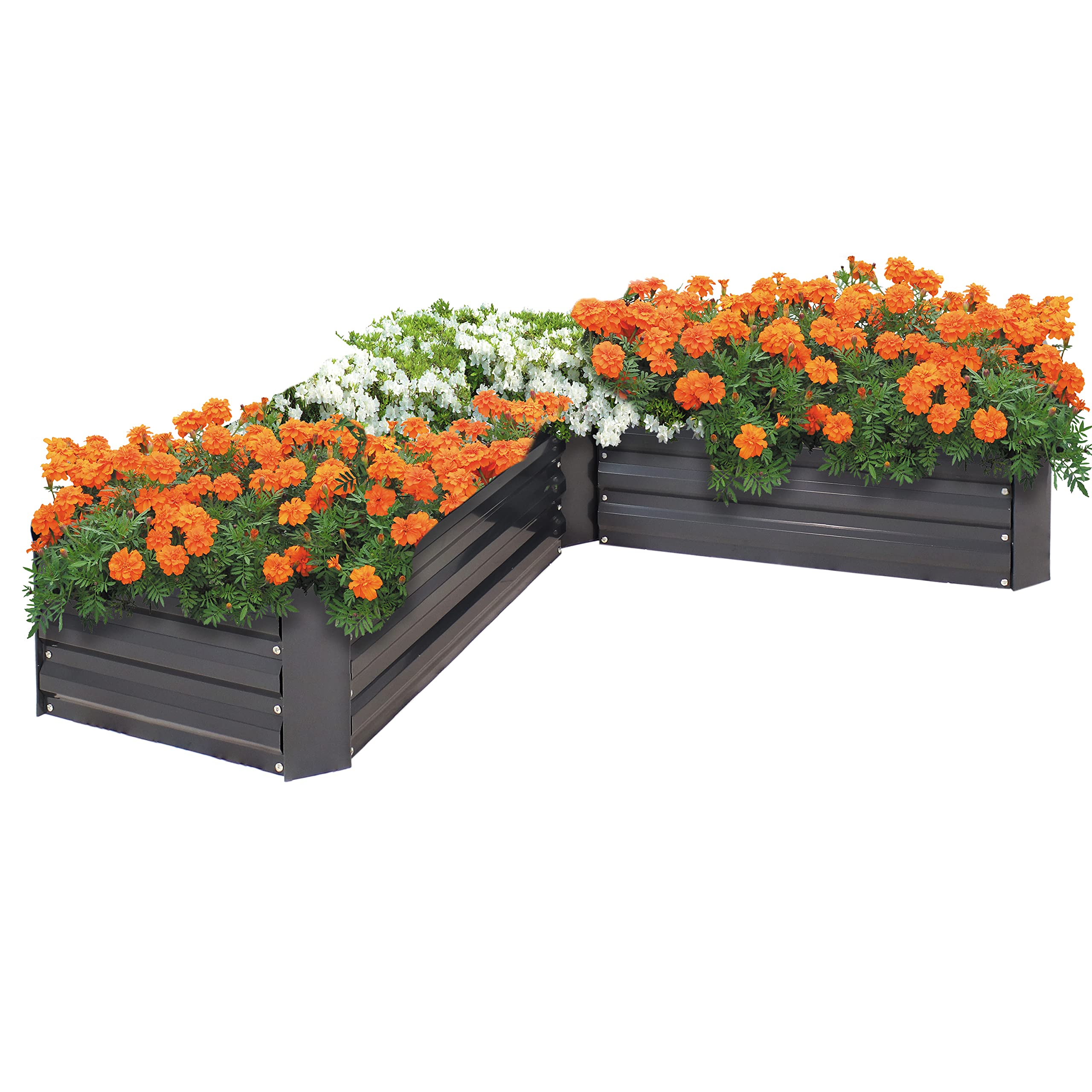 Amazon.com: Sunnydaze Galvanized Raised Garden Bed, L-Shaped
