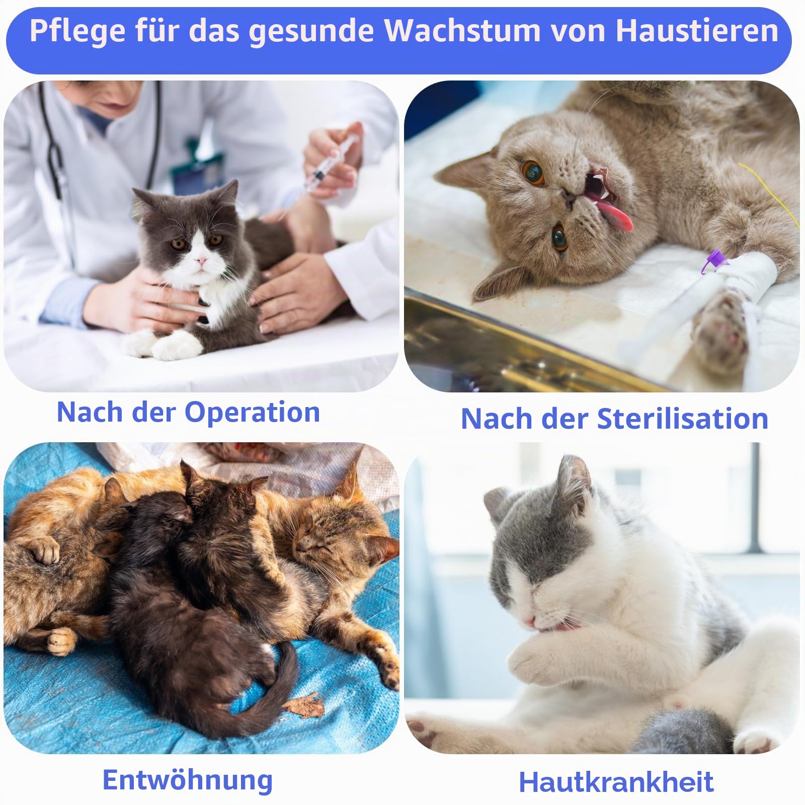 cobee Professioneller Katzen Erholungsanzug für Bauchwunden oder Hautkrankheiten, Erholungsanzug weicher Kragen Kegel Alternative für Katzen (Größe M)