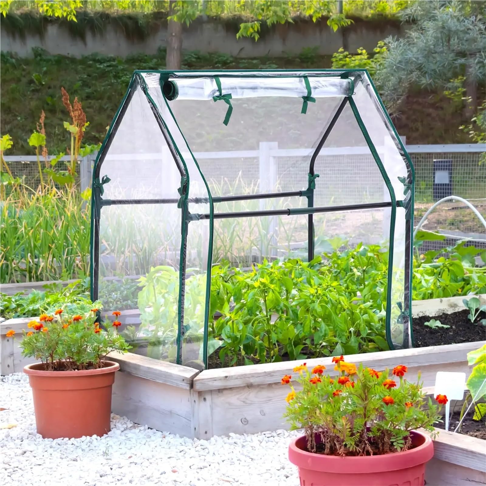 Invernaderos Jardín Mini invernadero for interior y exterior, invernadero portátil de mesa con almohadilla impermeable for cultivo de plantas pequeñas Invernadero de Jardín(36 x 36 x 58.5 inch)