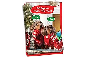 NobleWorks - Box of 12 Dog Christmas Cards Funny