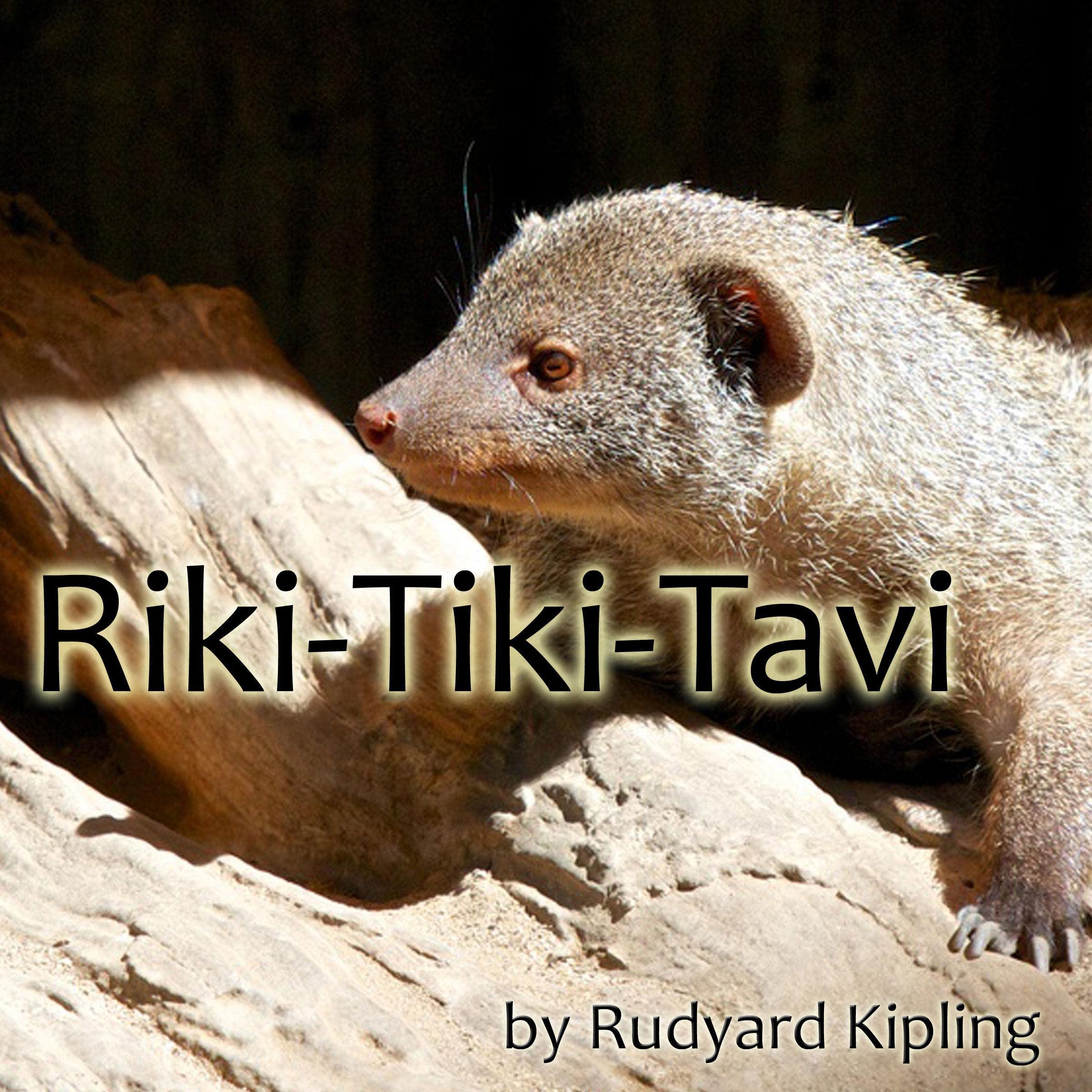 Cover art for Riki-Tiki-Tavi