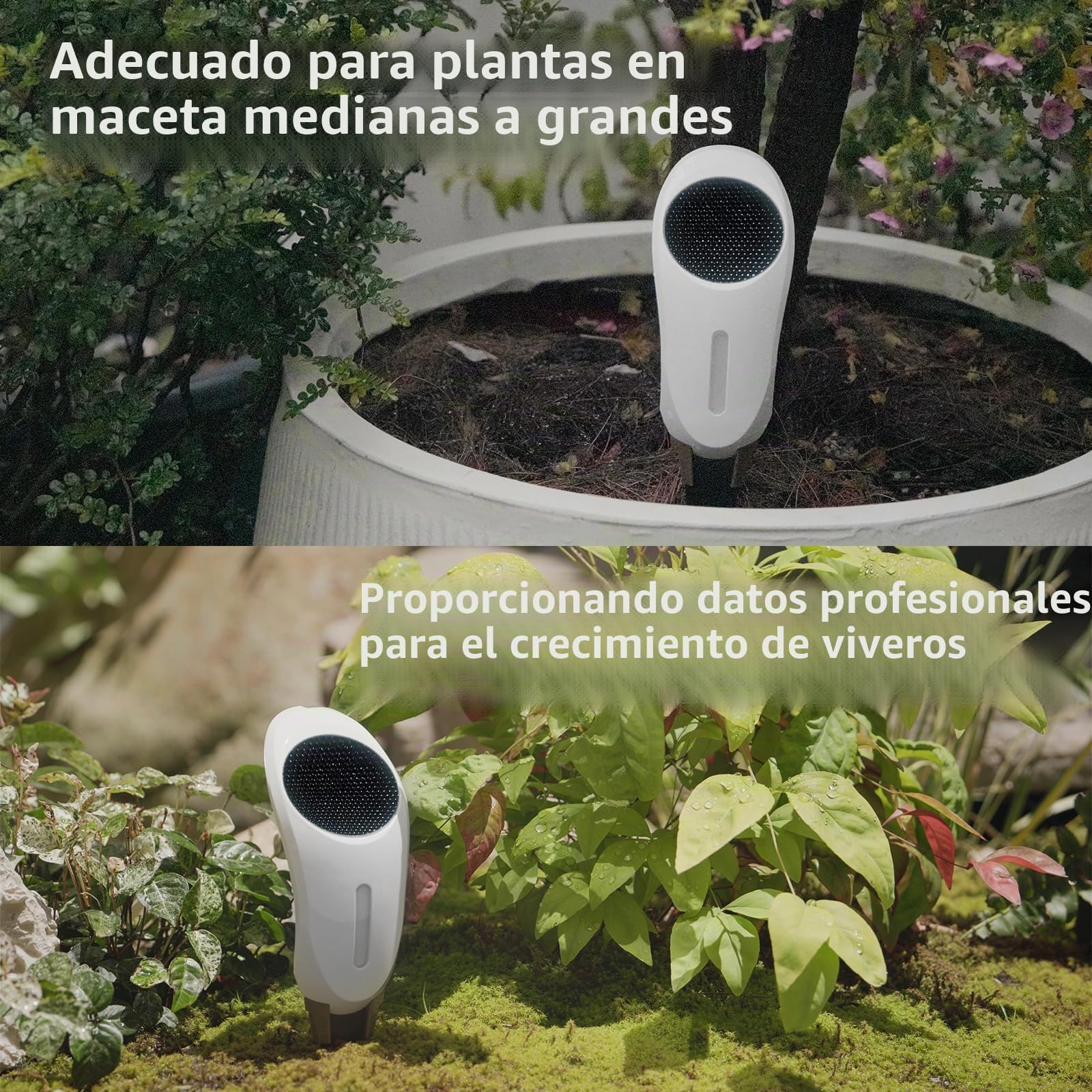 Netro Whisperer Sensor inteligente de planta de 2ª generación, basado en aplicaciones, conectado a WiFi, funciona con energía solar para uso en exteriores