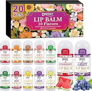 DMSKY 20 Pack Mini Lip Balm, Natural Lip Balm Bulk with Vitamin E and Coconut Oil, Moisturizing Lip Balms for Dry Cracked lips - 10 Flavors