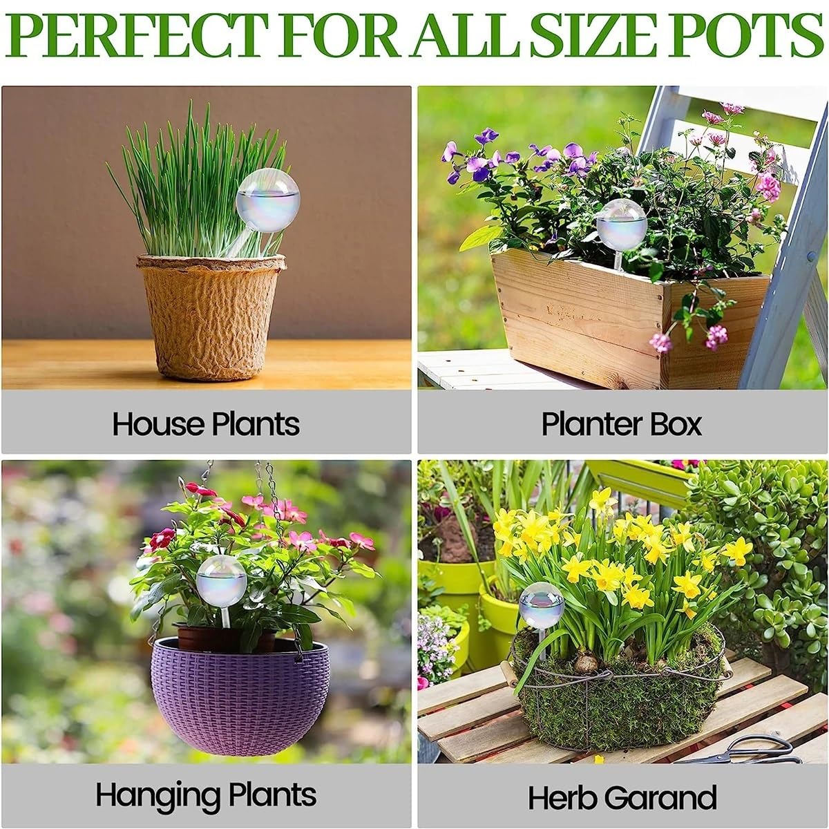 Boules D'Arrosage 2/4 Pièces Bidons D'eau for Plantes Globes D'arrosage Automatique En Verre En Forme De Coeur De Champignon Dispositif D'arrosage Gouttes D'arrosage Maison Jardin. Pour Plantes(4Pcs M