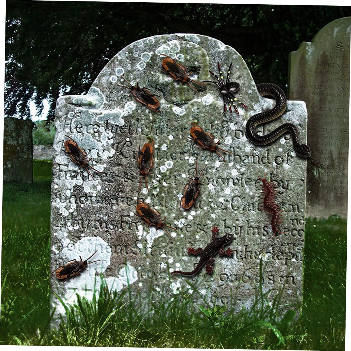 Alasum STK Gefälschte Spinnenstütze Gefälschte Schlangenrequisiten Aprilscherz Requisiten Halloween Knifflige Spielzeuge Halloween-Spielzeug Halloween-Ornamente Falsche Schlange