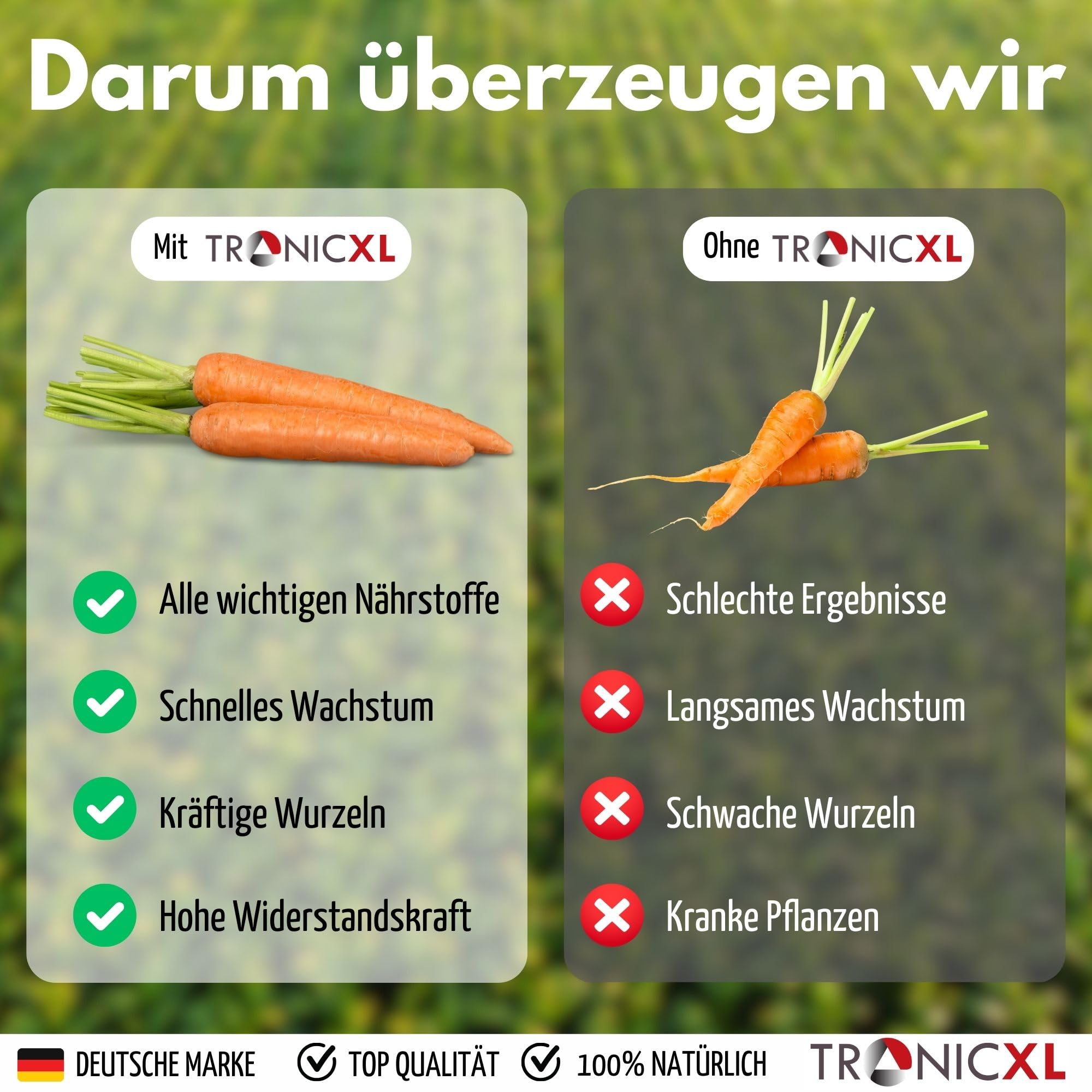 TronicXL 1 l koncentrat nawozu warzywnego + 40 litrów ziemi, nawóz do korzeni, warzyw korzeniowych, warzyw, nawóz płynny 1000 ml, 1 litr, nawóz do warzyw korzeniowych, marchew, sałata, por