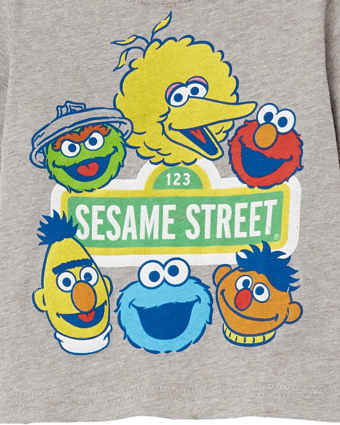 Sesame Street Boys Elmo Cookie Monster Big Bird, Oscar The Grouch Short Sleeve Tee - Image 3