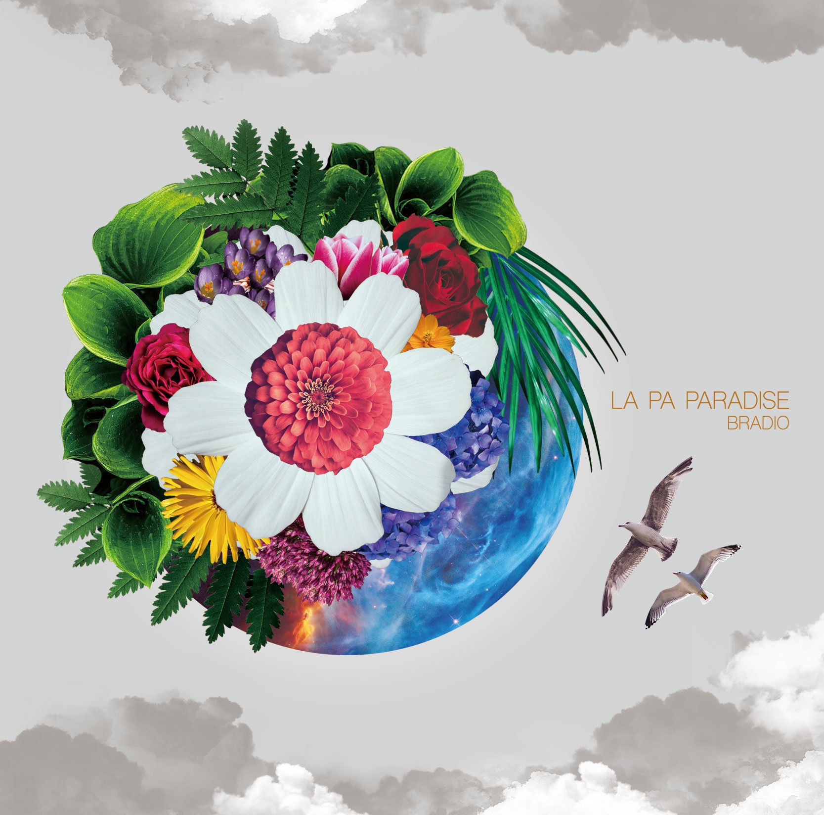 Amazon.co.jp: LA PA PARADISE(通常盤): ミュージック