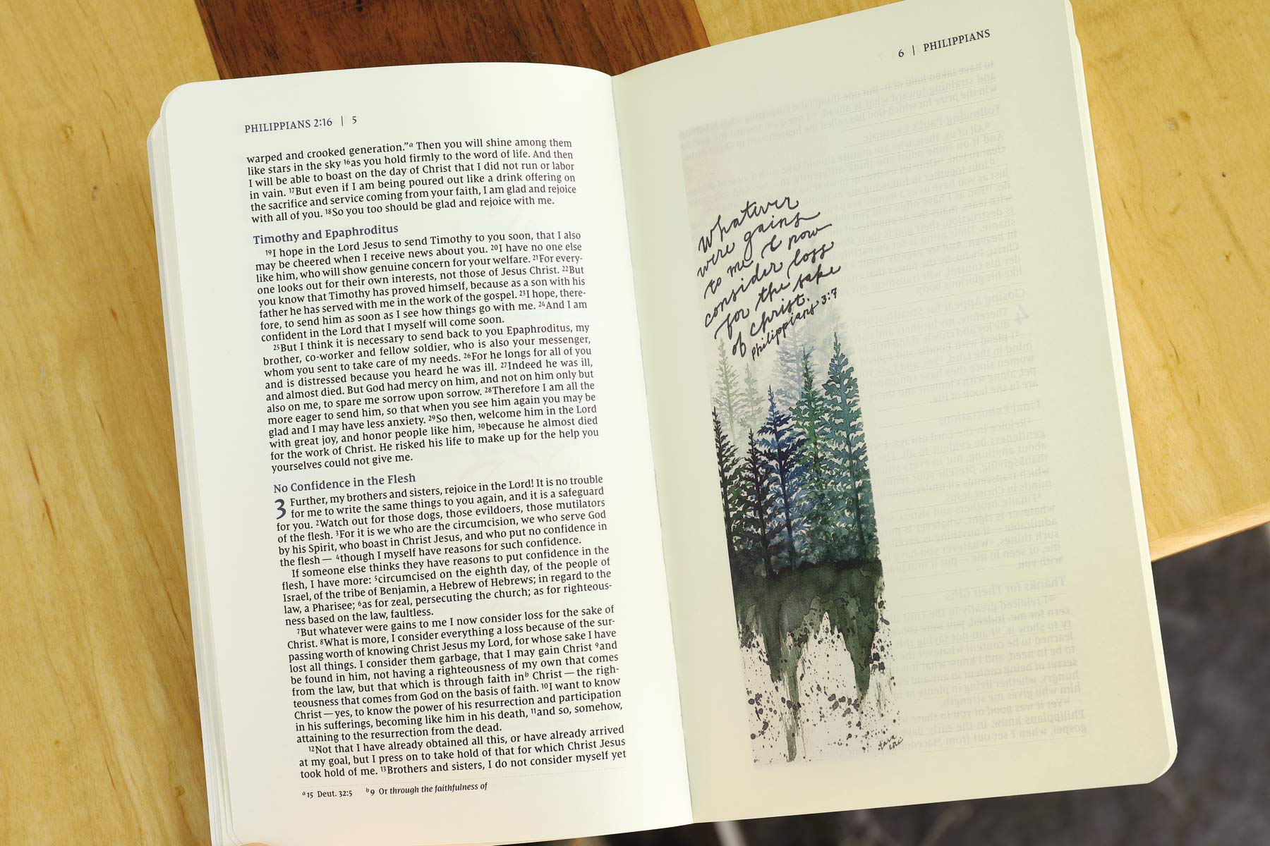 NIV, Beautiful Word Bible Journal, Philippians, Paperback, Comfort Print - Image 7