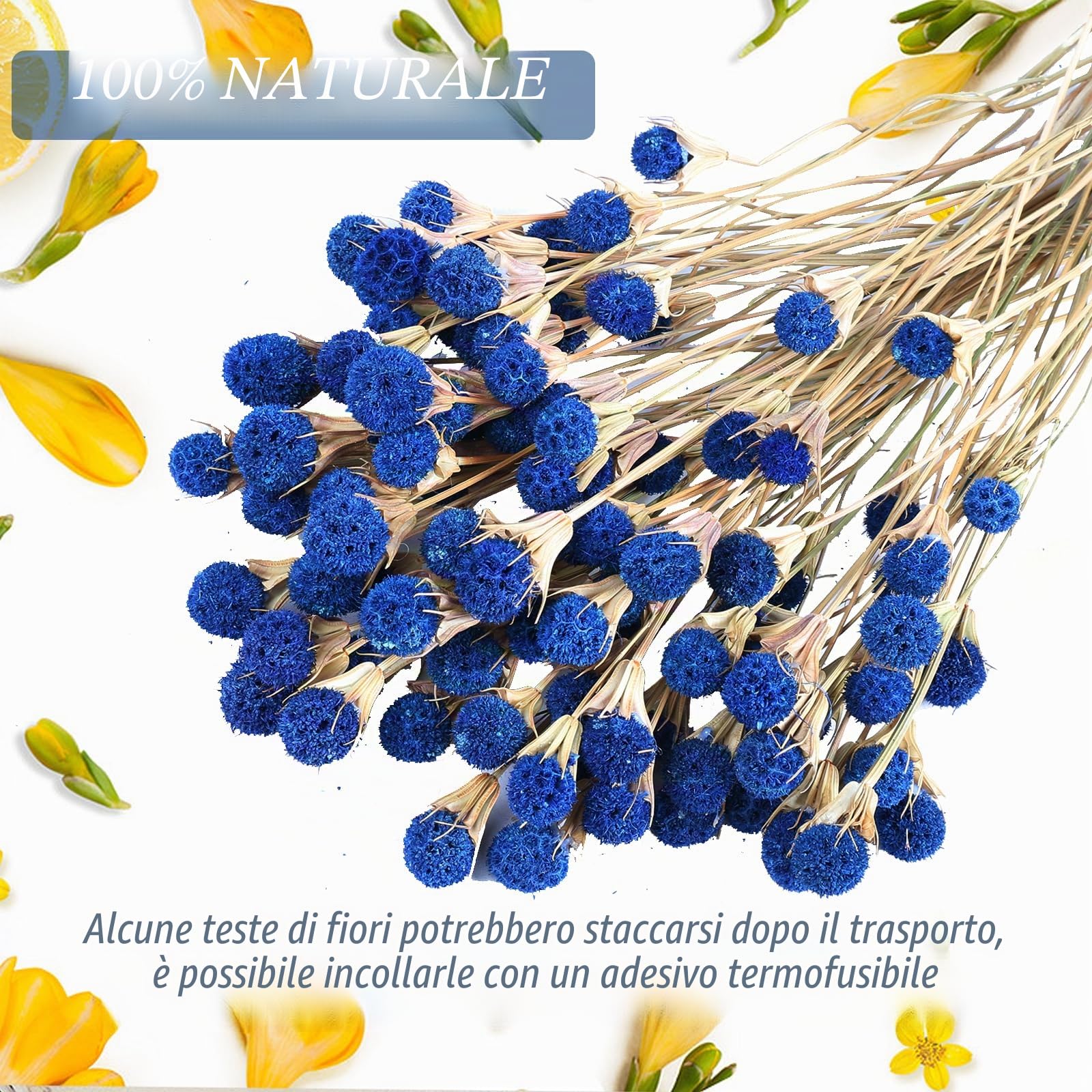 Bouquet di 40 fiori di cardo essiccati blu naturale, piante secche alla rinfusa, pianta a bottone, 43 cm, composizioni floreali fai da te per casa, stile bohémien, cucina, tavolo, vaso per matrimoni