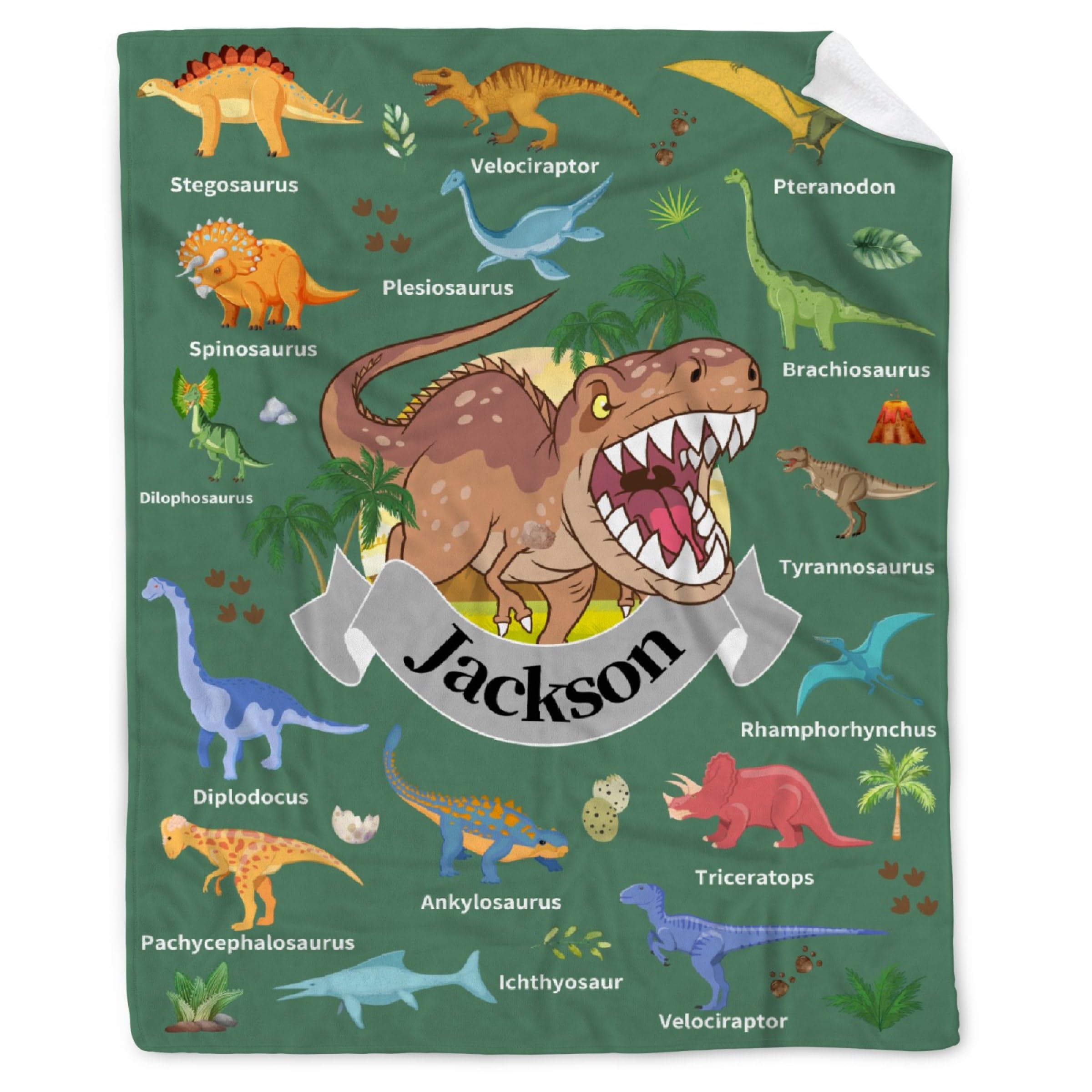 Personalized Dinosaurs Blanket Gift for Boy Girl,Custom Dinosaur Blanket
