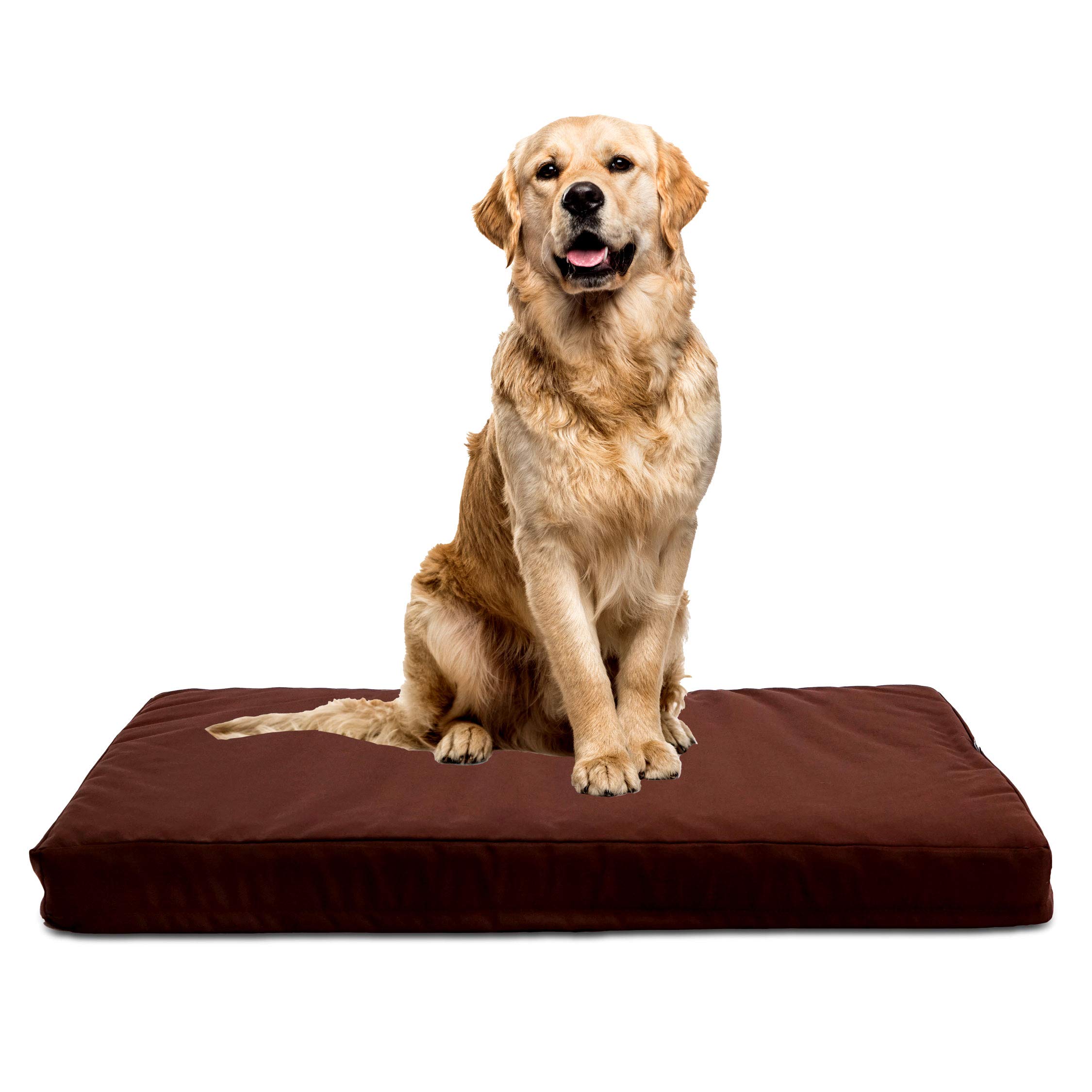 Cuscino Ortopedico Per Cani TECNOCUCI JUMP - Idrorepellente, Sfoderabile, Made In Italy - Foto 6