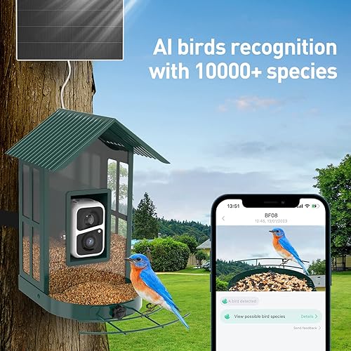 Miniatura 9 de Comedero para pájaros con cámara con IA para identificar especies, observación de aves silvestres, vista en vivo de 2K, alertas de llegada
