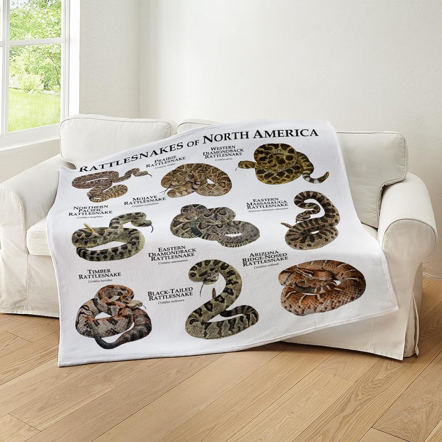 CafePress Rattlesnakes of North America Throw Blanket Super Soft Fleece Plush Throw Blanket, 60"x50"
