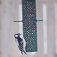 Vista 3 de C&S Berry Flavored Nuggets, 6 Pack