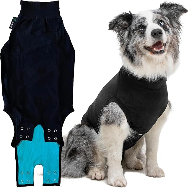 Suitical Recovery Suit Dog, Small Plus, Black
