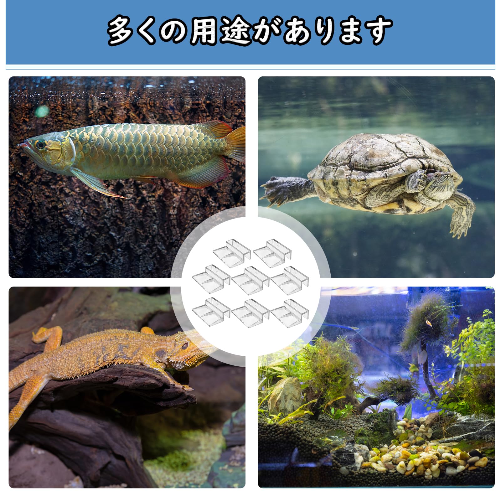 Amazon | MAEXUS アクリリッチ 水槽 蓋固定 8mm 透明度高 アクリル製