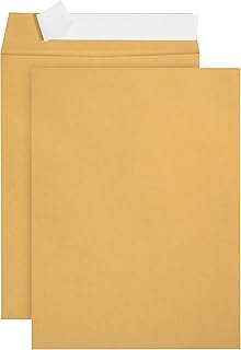 100 9 X 12 SELF Seal Golden Brown Kraft Catalog Envelopes- Designed for Secure Mailing- Oversize Strong Peel and Seal Flap with 28 LB Kraft Paper- 100 Envelopes