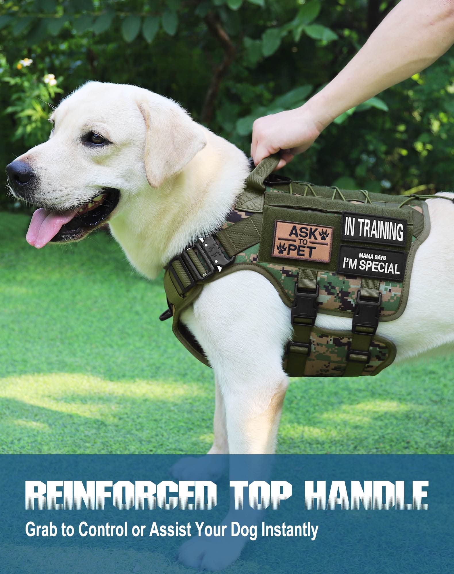 PETNANNY Arnés táctico para perro, arnés para perro de servicio, chaleco de apoyo emocional para perros medianos y grandes, chaleco para perros ESA sin tirones con gancho y bucle, chaleco Molle de