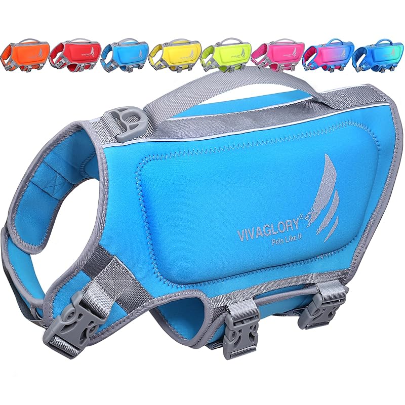 Colete salva-vidas para cães VIVAGLORY em neoprene com alça e detalhes refletivos, Blue, tamanho M — 53,34–63,5 cm
