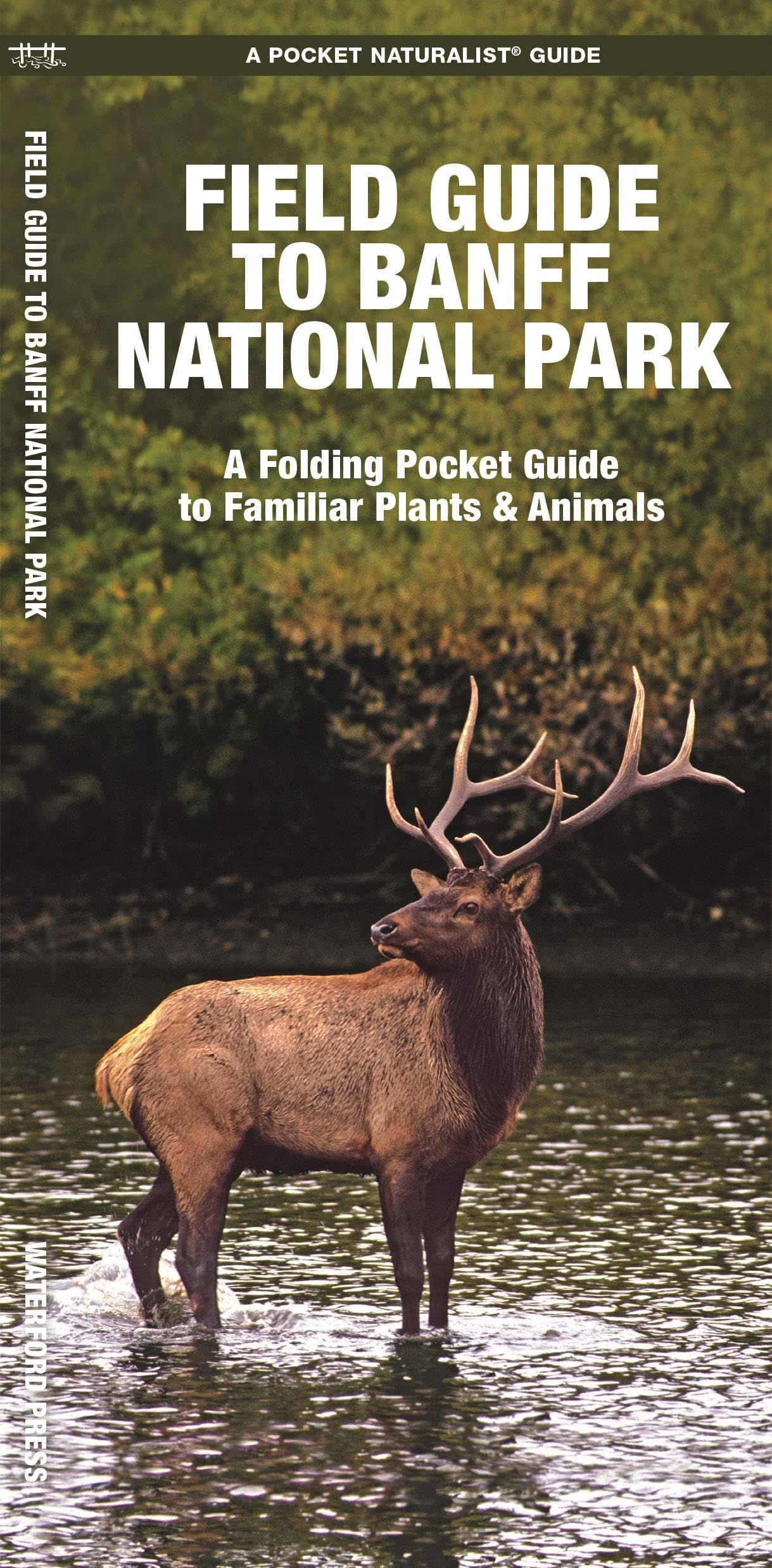 Banff National Park, Field Guide to: A Folding Pocket Guide to Familiar Plants & Animals (Nature Observation North America)