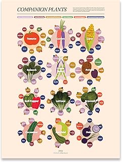 Fun Fact Co. Companion Planting Infographic Art Print, Illutrated Compan...